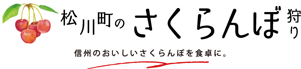 さくらんぼ狩り だんだん好きになる旅 まつかわ 松川町観光サイト