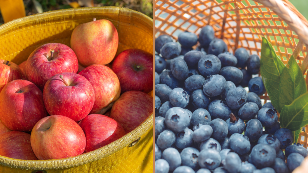 61f33e0c6022cd0e3ead98049c8611